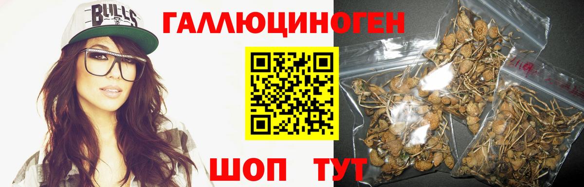 Псилоцибиновые грибы Psilocybine cubensis  Вход с VPN  Пенза 