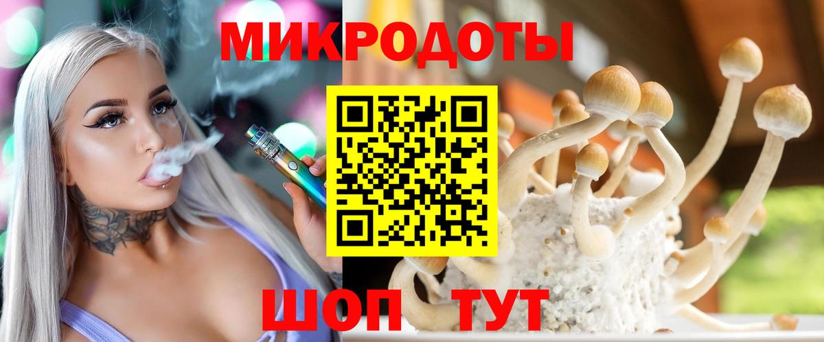 Галлюциногенные грибы Psilocybine cubensis Пенза